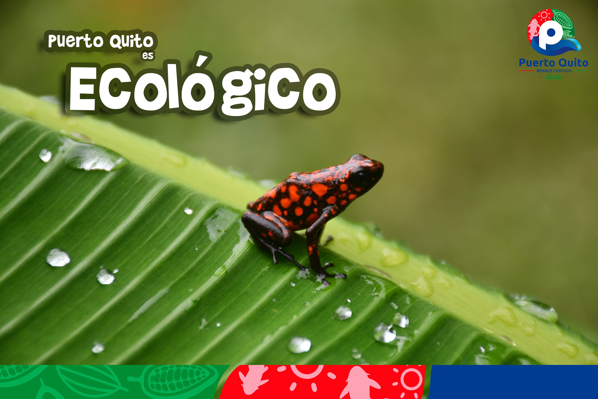 ecologico